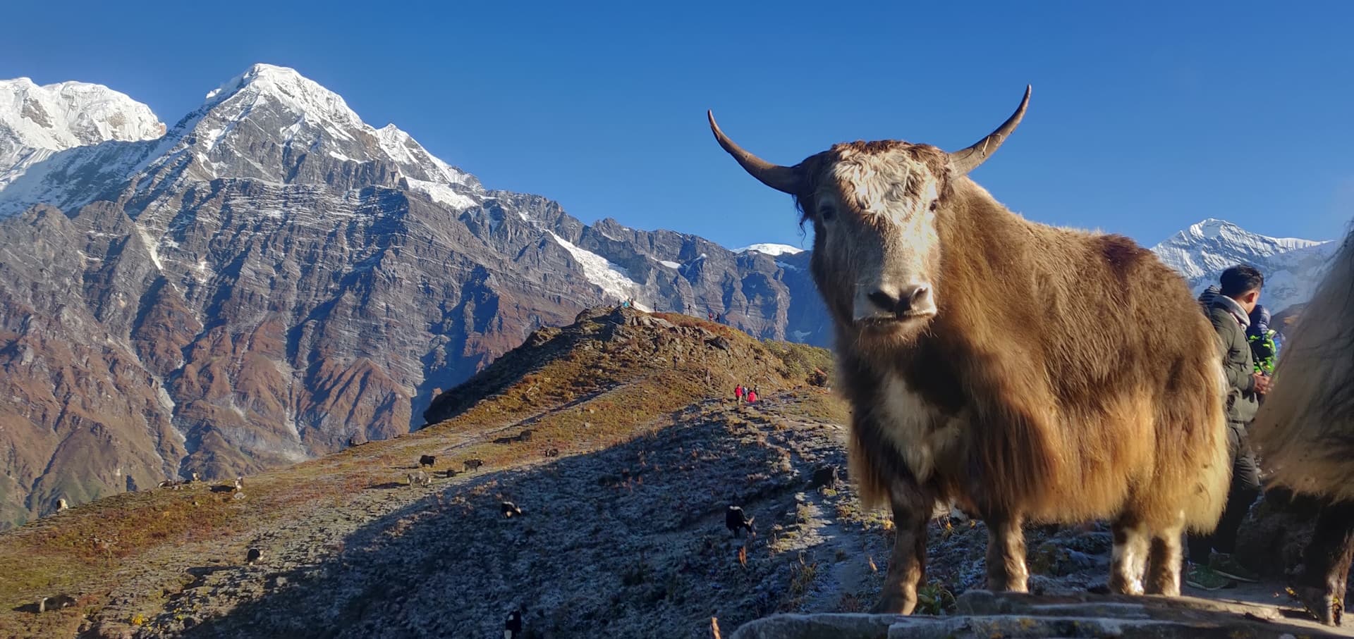 Mardi Himal Trek