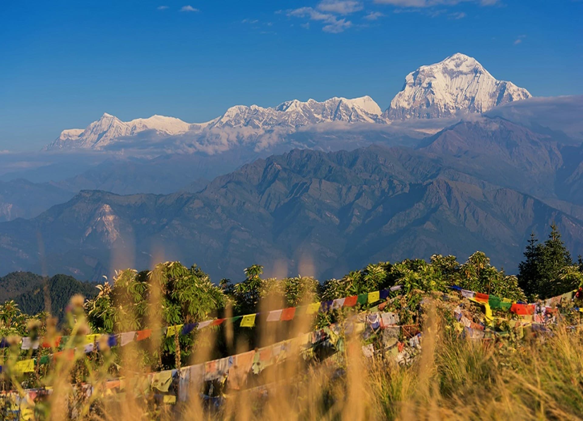 Poon Hill Trek